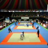 Tapis de judo - label fédération farnçaise de judo